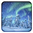 Aurora Winter icône