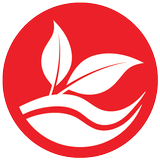 Site Pyo আইকন