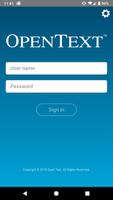 OpenText Active Orders постер