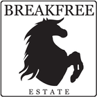 Breakfree icon