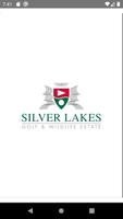 پوستر Silver Lakes