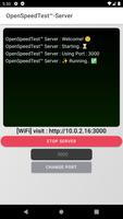 OpenSpeedTest-Server screenshot 3