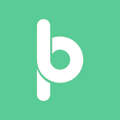 BridgePay