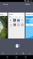 Browser Opera beta screenshot 3