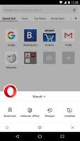 Browser Opera beta screenshot 1