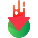 OK All Video Downloader Pro APK