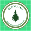 Ocoyucan Lens APK