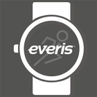 آیکون‌ Everis