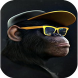 fondo de pantalla negro