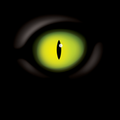 Ópticas Lince