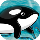 鲸鱼 – 海洋探险
