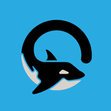 Orca VPN APK