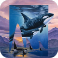Wallpaper Orca