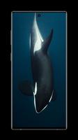 Orca Wallpaper screenshot 2