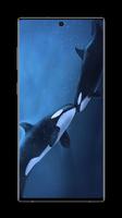 Orca Wallpaper screenshot 3