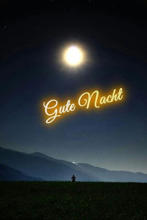 Gute nacht grüße