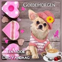 Goedemorgen Goedenacht Goedena Affiche