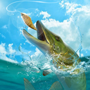Infinity Fishing APK