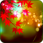 Maple Leaves Live Wallpaper আইকন