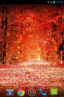 Осенние листья клена постер