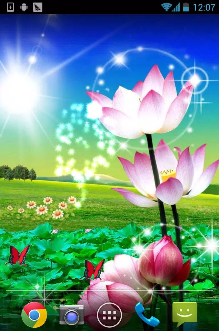 Tải xuống APK Sen đẹp sống hình nền cho Android