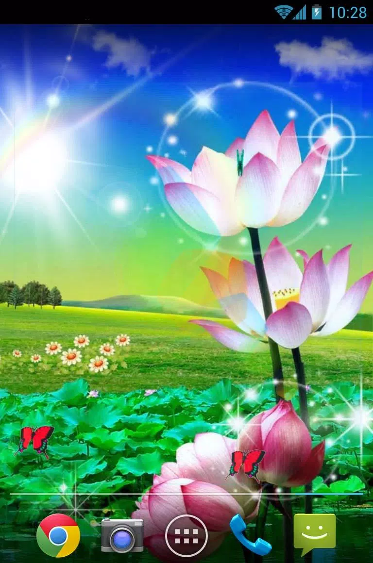 Tải xuống APK Sen đẹp sống hình nền cho Android