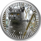 Cat 1 BritishBlue Analog Clock icône