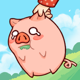 Catch Cute Pig icône