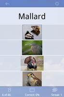 Flashcards Deluxe Screenshot 1