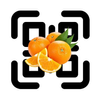 QR Zenn APK