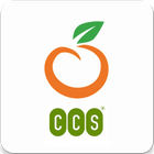 CCS OHRM icône