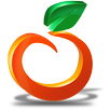 OrangeHRM Lite APK