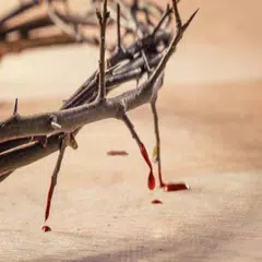 Baixar Oración de la Sangre de Cristo APK