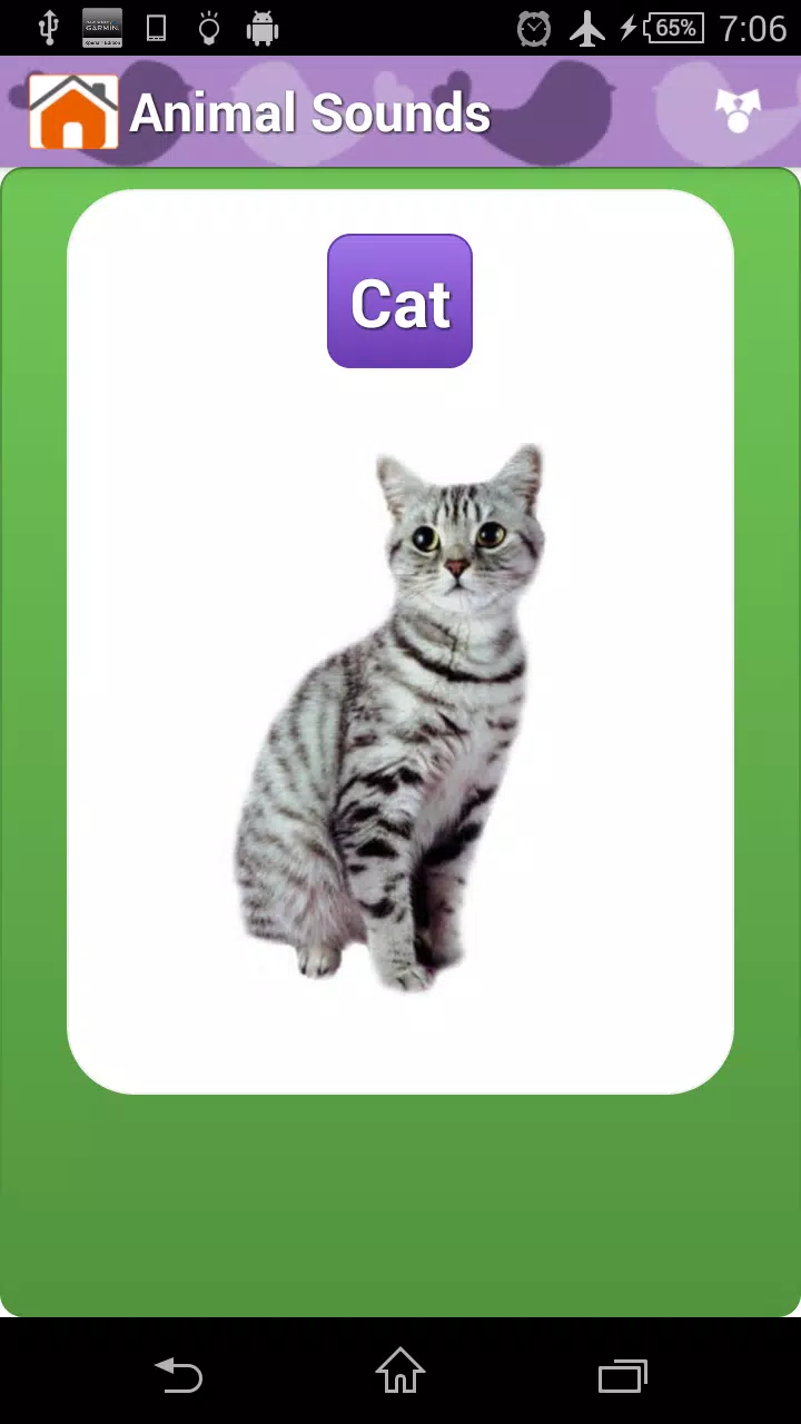 Animal Sounds & Talking Parrot APK for Android Download Animal Sounds & Talking Parrot APK for Android Download