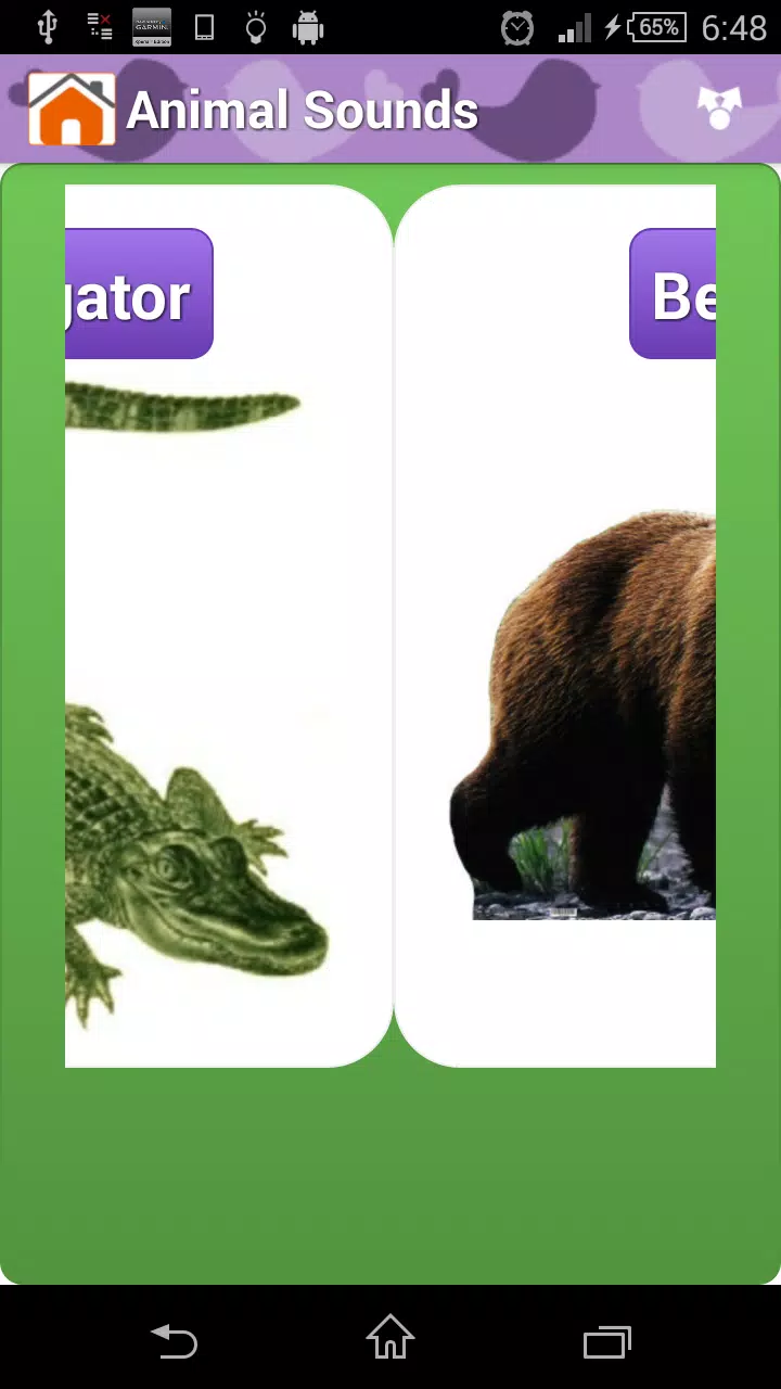 Animal Sounds & Talking Parrot APK for Android Download Animal Sounds & Talking Parrot APK for Android Download