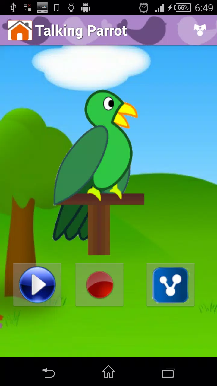Animal Sounds & Talking Parrot APK for Android Download Animal Sounds & Talking Parrot APK for Android Download