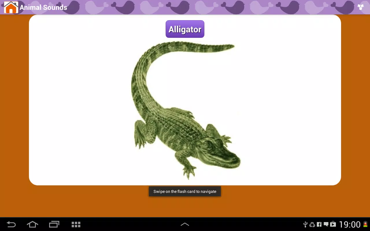 Animal Sounds & Talking Parrot APK for Android Download Animal Sounds & Talking Parrot APK for Android Download