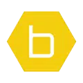 b-hyve Pro