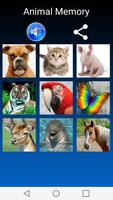 Animal Memory poster