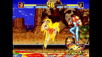 Fatal Fury Special پوسٹر