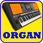 Organ, Piano, Guitar, Drum Pad icône