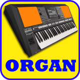 Organ, Piano, Guitar, Drum Pad icon