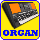 Organ, Piano, Guitar, Drum Pad APK