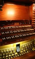 Organ Wallpaper Affiche