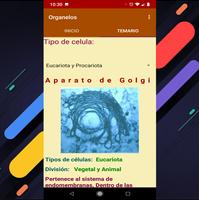 Organelos de la Celula 截图 3