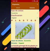 Organelos de la Celula 截图 1