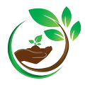 Organic Fertilizer Fruit Plant