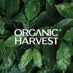 Organic Harvest- Beauty Shop