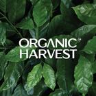 Organic Harvest 圖標