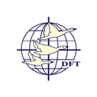 DMI DFT icône